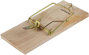 Mouse trap PNG-28436